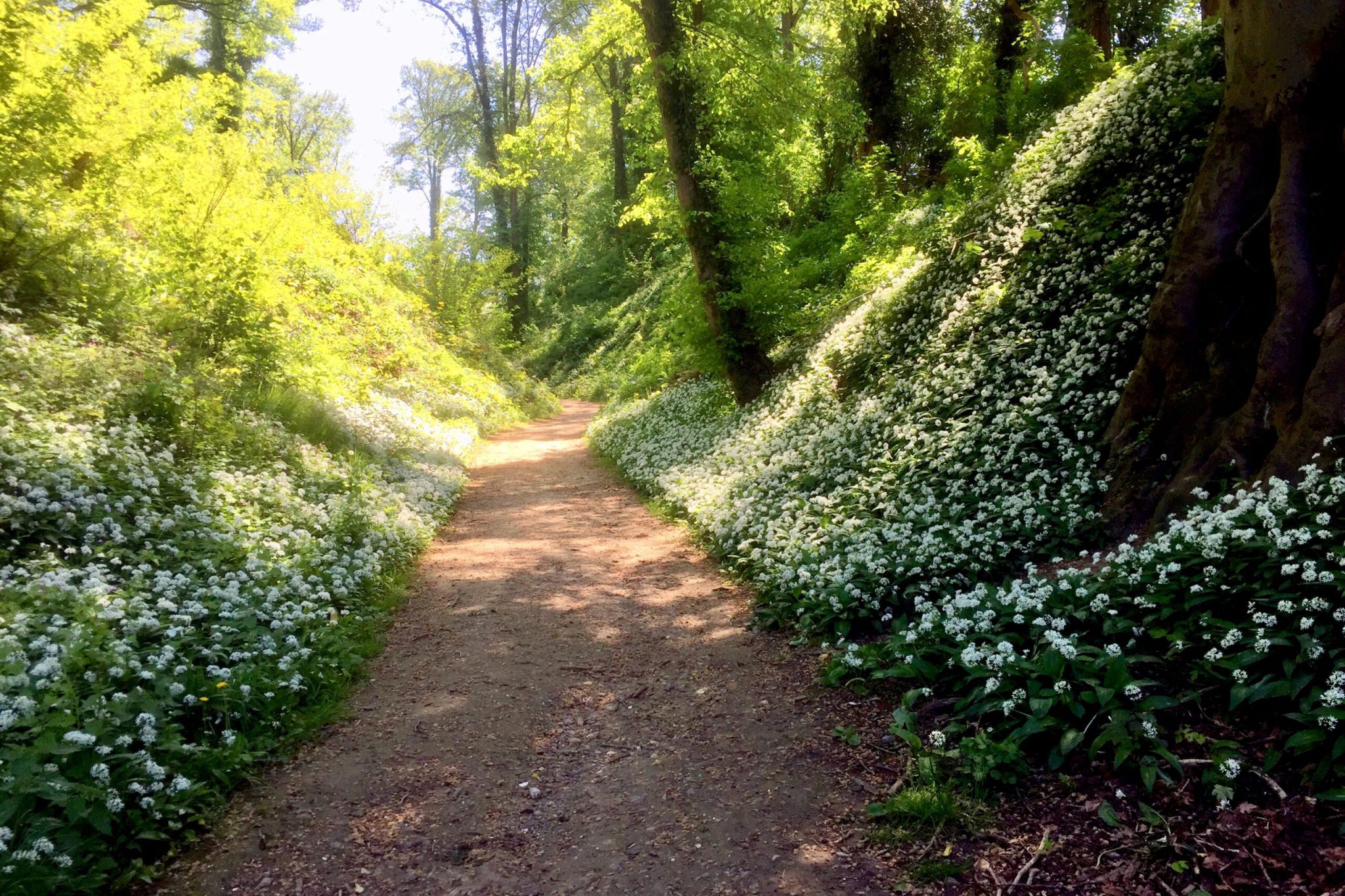 Form upload for submission #6 (form “Deelname wegbermverkiezing”) Form upload for submission #6 (form “Deelname wegbermverkiezing”)